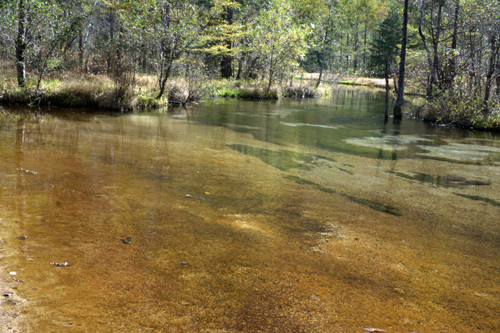 b0014607_2130013.jpg