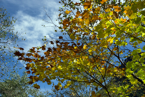 b0014607_2131680.jpg