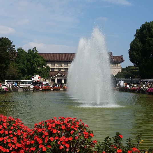 e0087008_1129532.jpg
