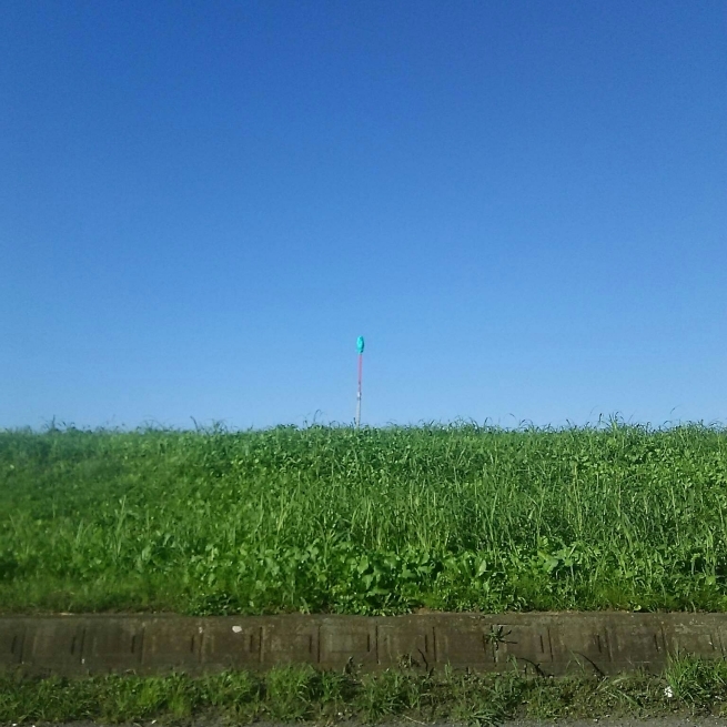 f0113108_08535420.jpg