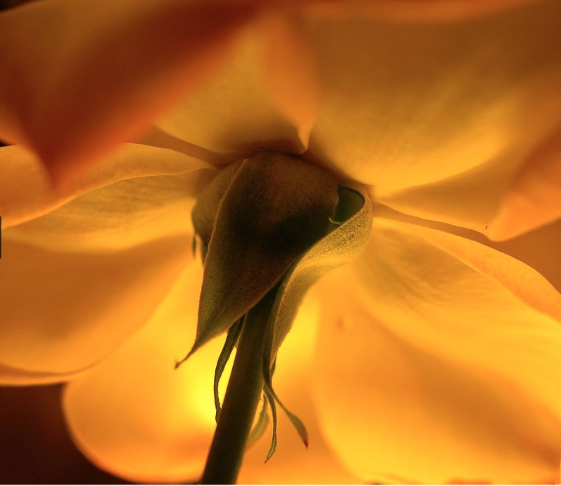 b0150018_23395526.png