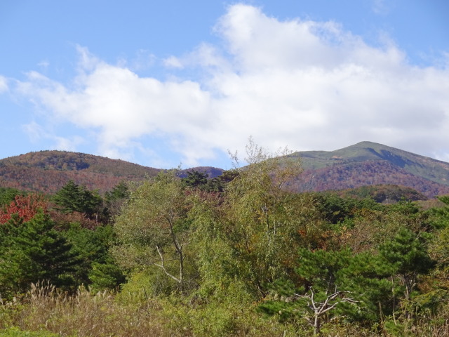 c0141223_18313598.jpg