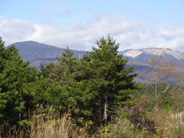 c0141223_18355589.jpg