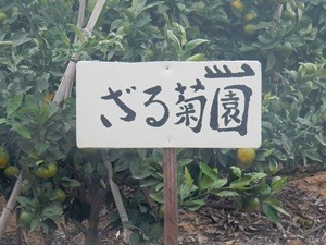 e0033229_18213231.jpg