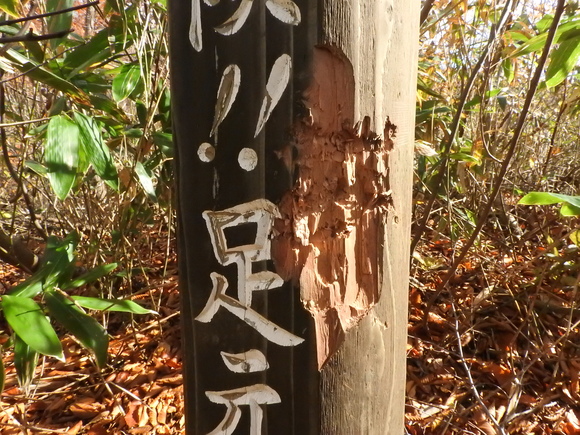 f0118332_22453025.jpg