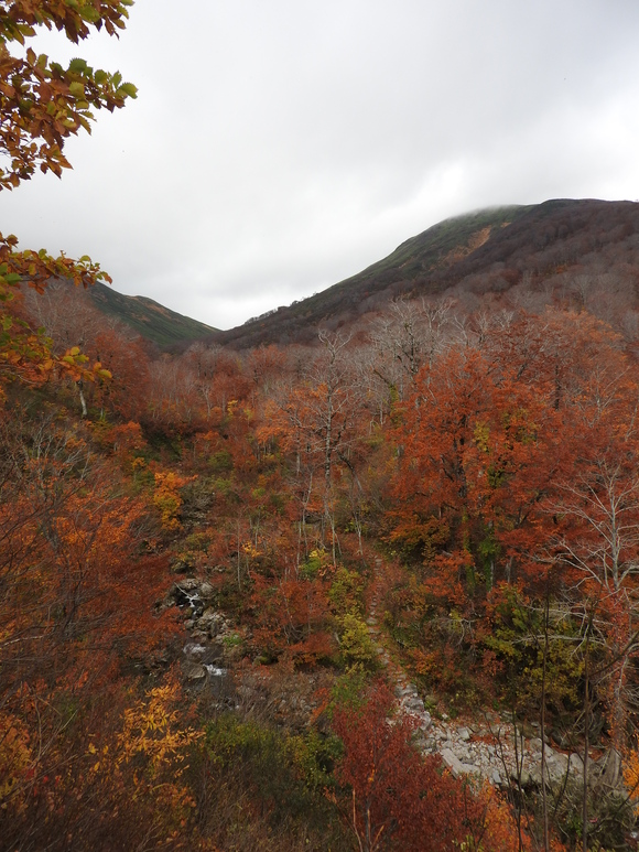 f0118332_22461960.jpg