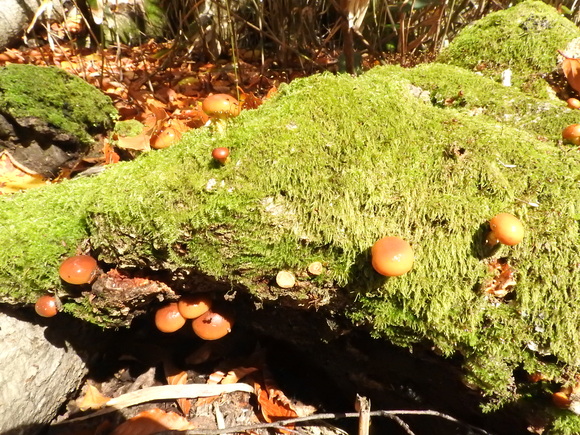 f0118332_2246668.jpg