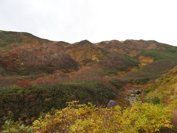 f0118332_22473267.jpg