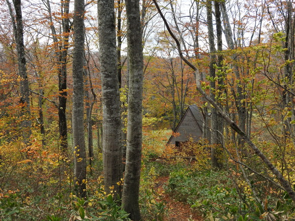 f0118332_22482486.jpg