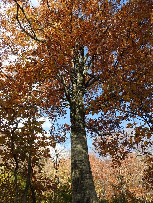 f0118332_22483533.jpg