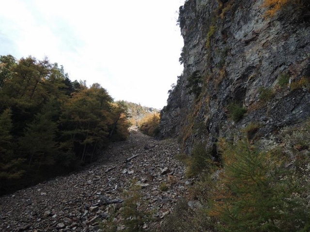 d0107938_1056497.jpg