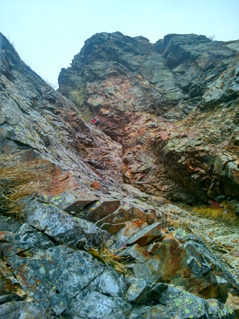 d0107938_11144225.jpg