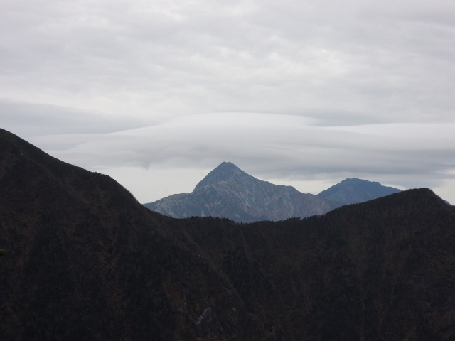 d0107938_11421156.jpg