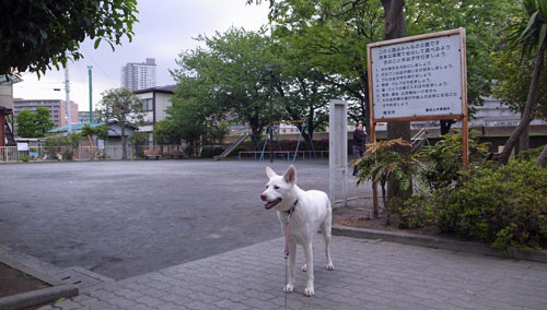 a0117039_22551691.jpg