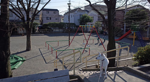 a0117039_2256252.jpg
