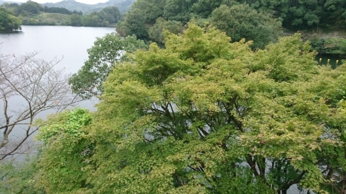 c0175339_20035508.jpg
