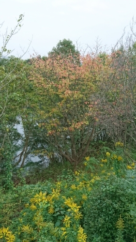 c0175339_20035793.jpg