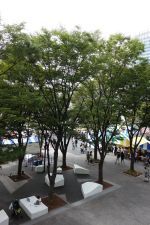 e0080345_09181563.jpg