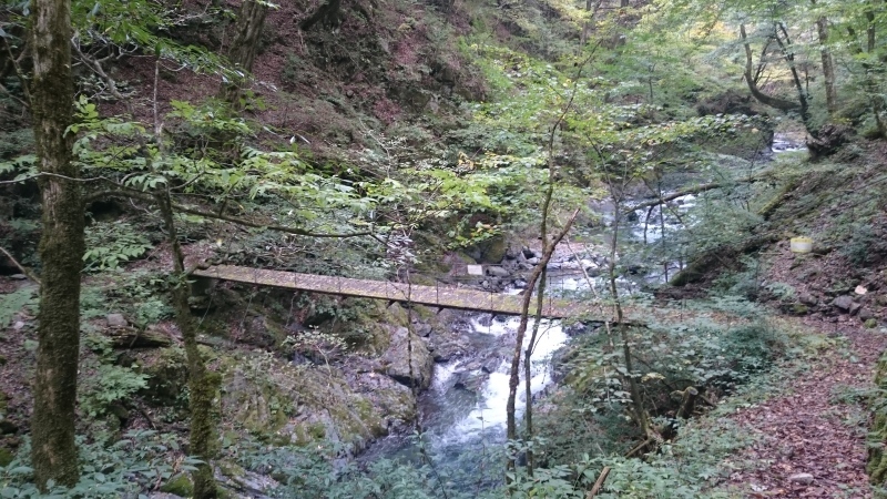 f0376349_16412890.jpg