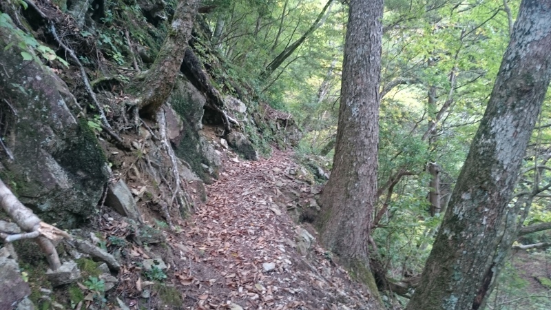 f0376349_17361237.jpg