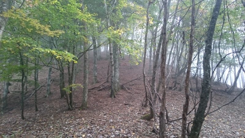 f0376349_17502433.jpg