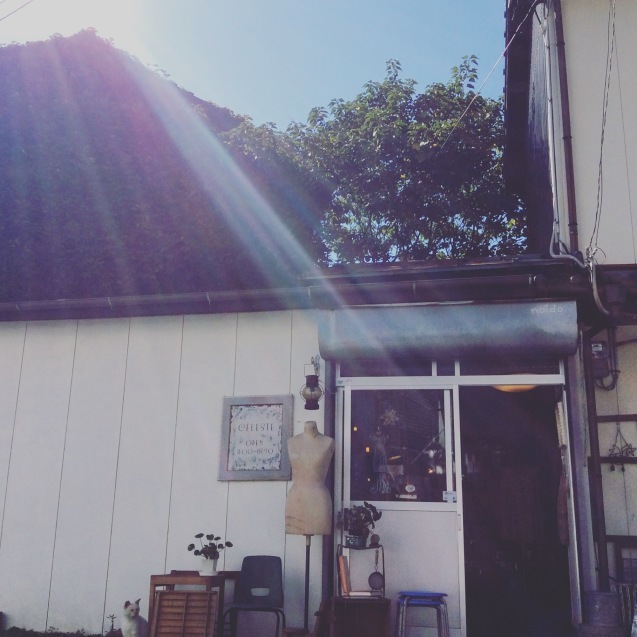 c0340351_15401643.jpeg