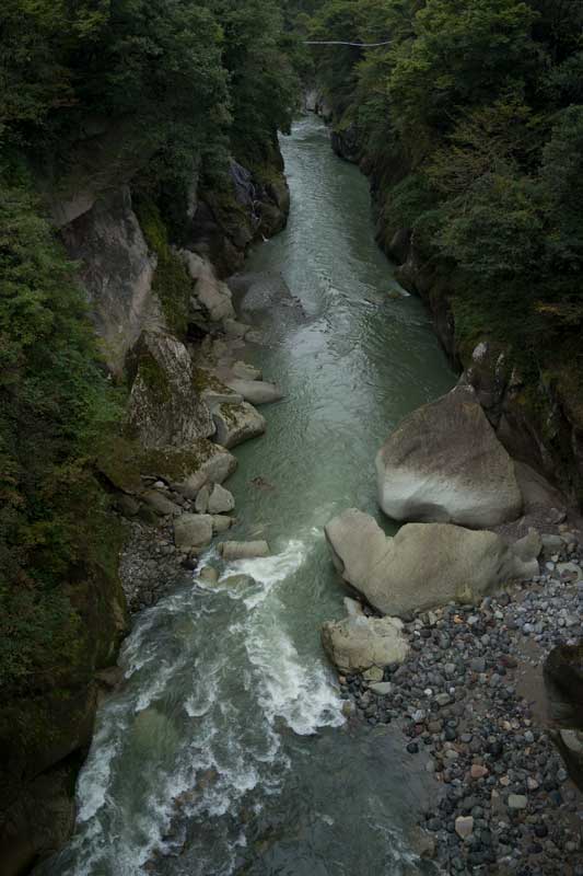 d0342652_17371183.jpg