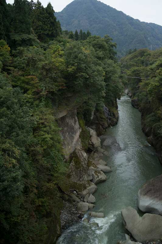 d0342652_17373161.jpg
