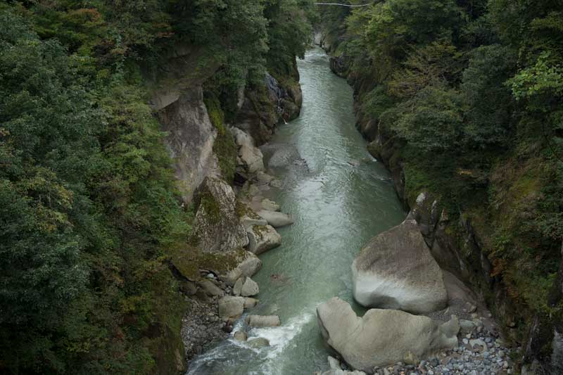 d0342652_17375228.jpg