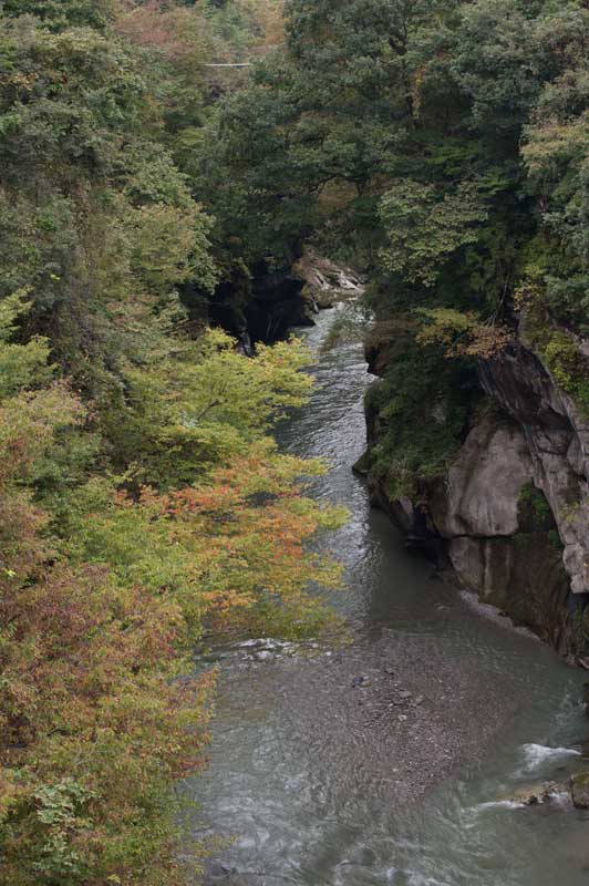 d0342652_17381128.jpg