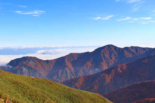 c0116856_1953197.jpg