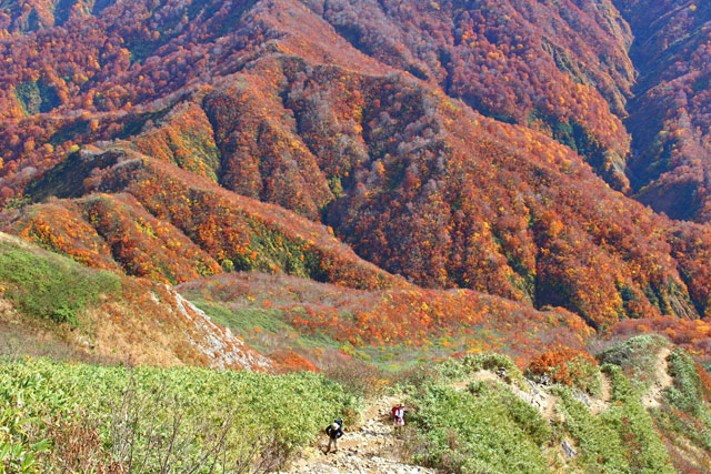 c0116856_20154019.jpg