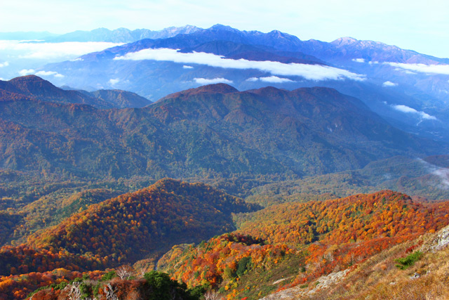 c0116856_2025457.jpg