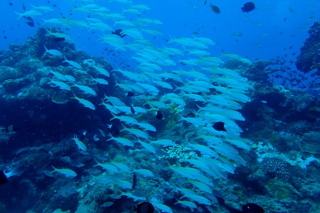 b0062363_16315364.jpg