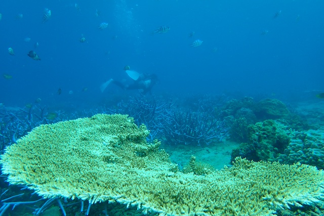 b0062363_5402023.jpg