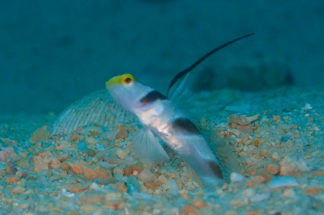 b0062363_5405253.jpg