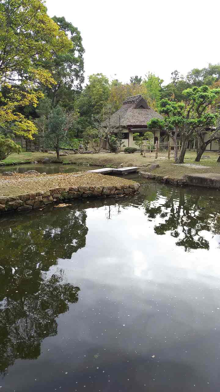 f0374164_1145457.jpg