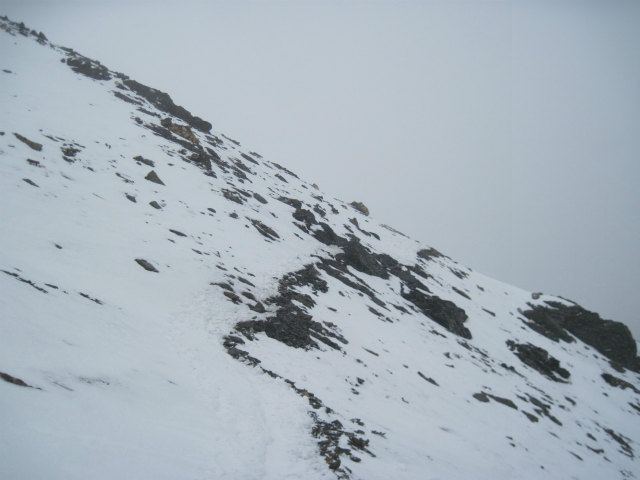 c0219866_1084996.jpg