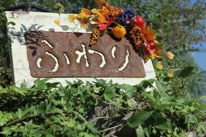 e0274772_12523623.jpg