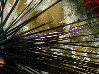 b0033573_21153136.jpg