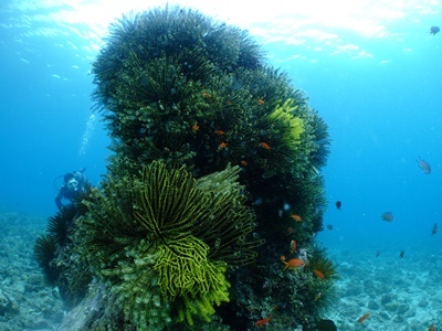 b0033573_22034138.jpg