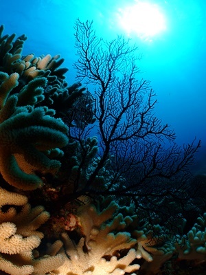 b0033573_22042867.jpg