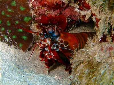 b0033573_22044407.jpg