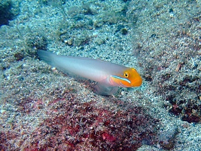 b0033573_22052578.jpg