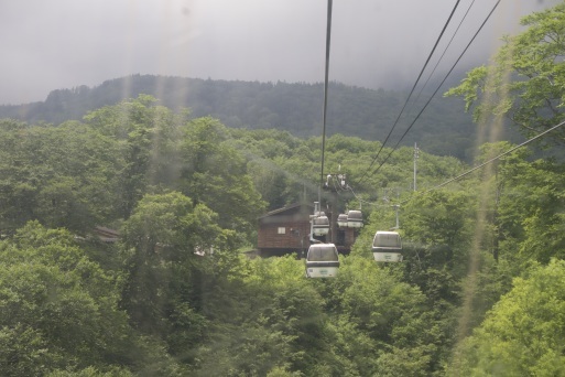 f0170173_15014455.jpeg