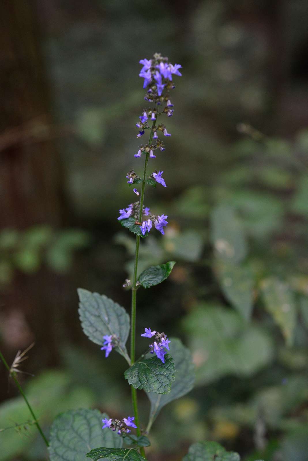d0328977_18234175.jpg