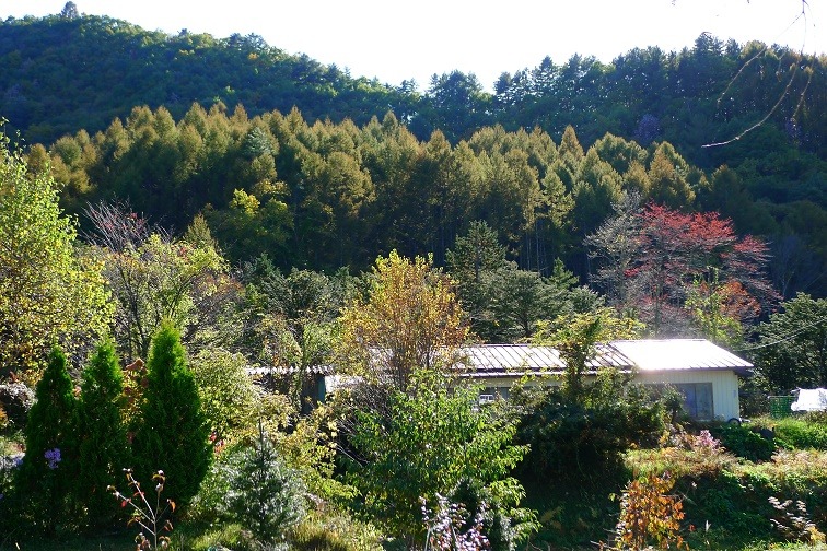 a0130586_172734100.jpg