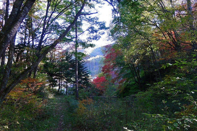 a0130586_17381528.jpg