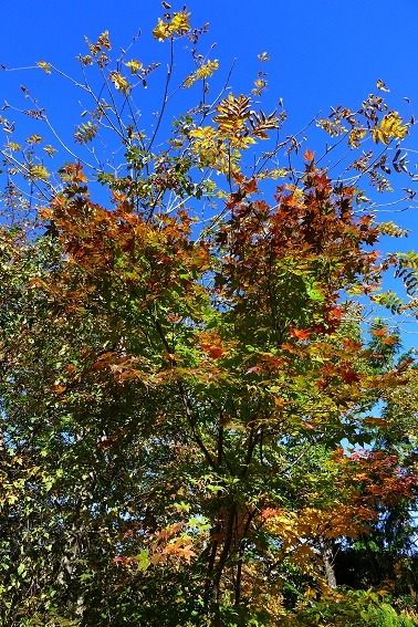 a0130586_9204728.jpg