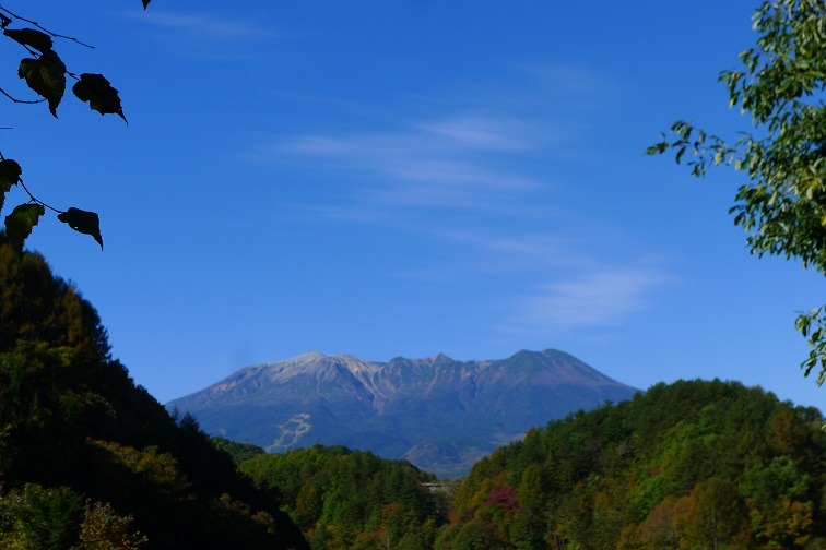 a0130586_928046.jpg